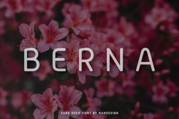 Berna Typeface Review: A Clean Sans Serif for Modern Campaigns