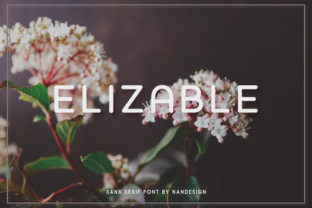 Elizable: The Clean Sans Serif Font for Modern Brand Identity