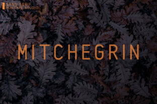 Mitchegrin: The Timeless Sans Serif for Polished Brand Identity