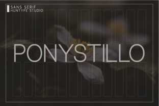 Ponystillo: A Contemporary Sans Serif for Modern Campaign Design