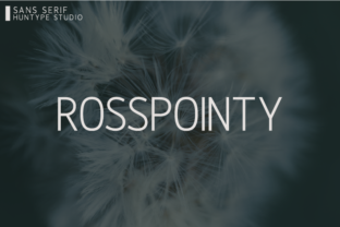 Rosspointy: The Clean Sans Serif Font for Handmade Brands