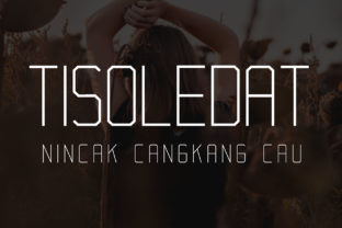 Tisoledat Typeface Review: A Contemporary Sans Serif for Modern Branding