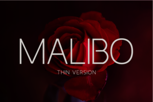 Why Malibo Thin Is the Clean Typeface Your Small Business Brand Needs